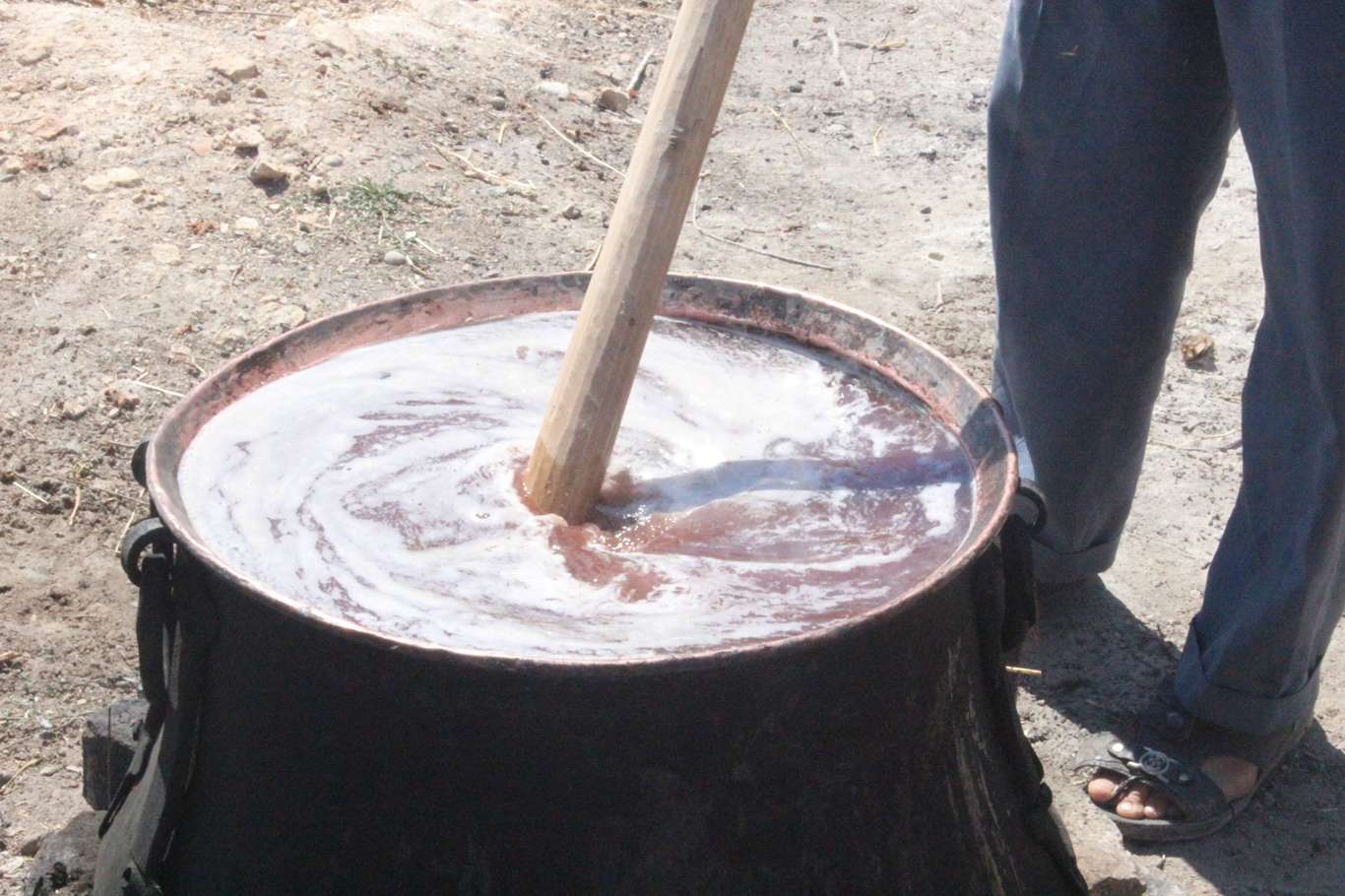 Üzümün pekmez ve pestil olma yolculuğu başladı